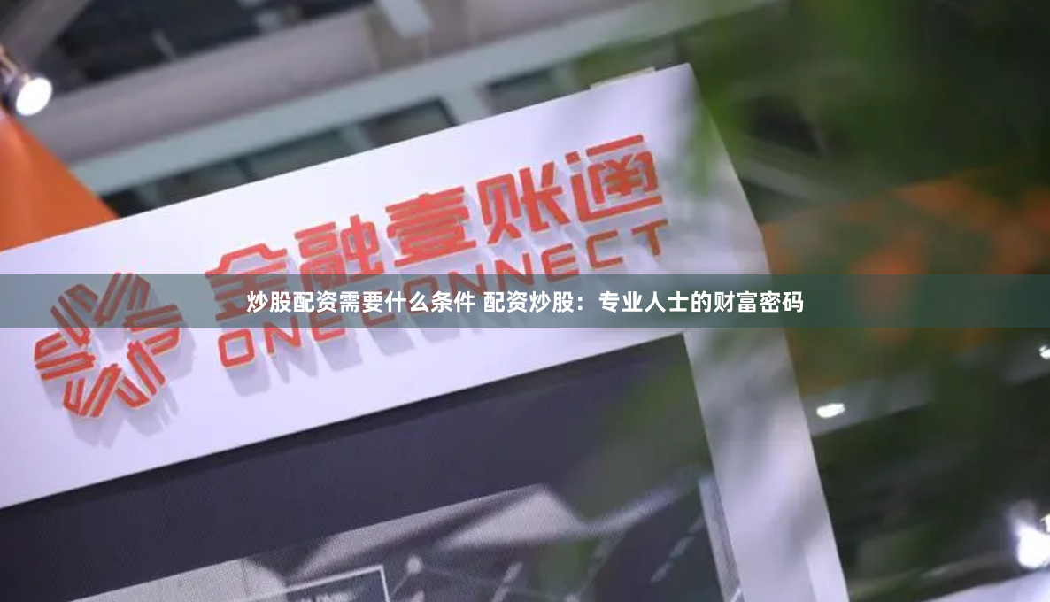 炒股配资需要什么条件 配资炒股:专业人士的财富密码